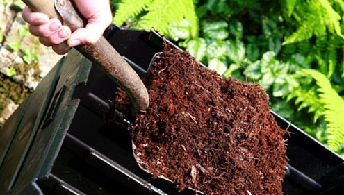 Composting and Other Ways to Reducing Food Waste